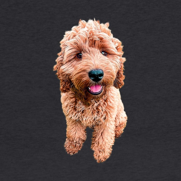 Cockapoo Cavapoo Labradoodle Goldendoodle Doodles by Elarex